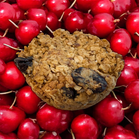 3-Pack Granola Bomb! Cherry, Flax & Chia stuffed with Almond Butter
